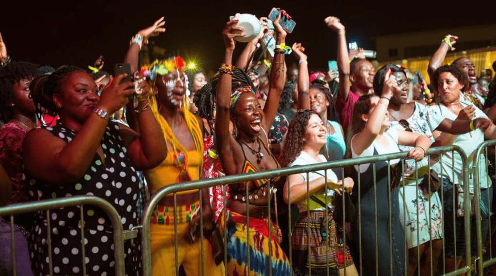 Fans at an Afrobeats concert